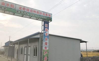 ��˾����