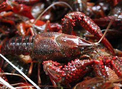 ��Ϻ�߲�����