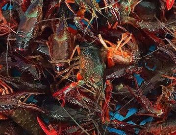 С��Ϻ��ֳ����ȫ����