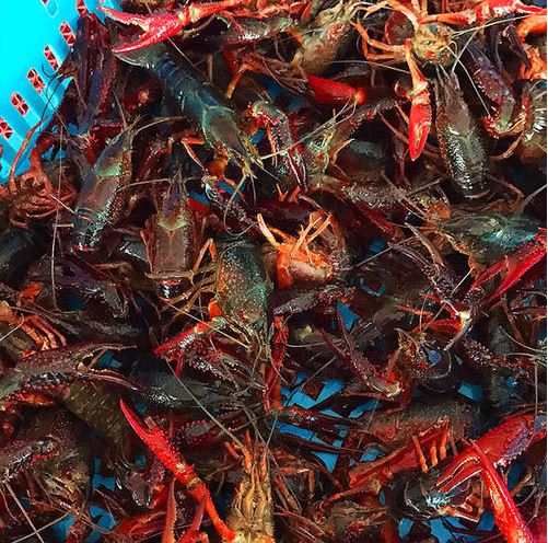 ��Ϻ��ֳ����