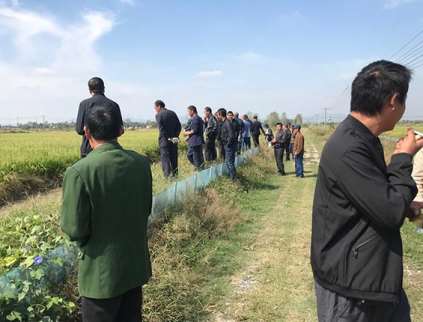 水稻种植的播种要求分析 水稻种植的播种要求分析