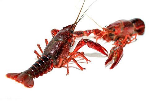 ��ֳС��Ϻ����ʱ��ע�������仯