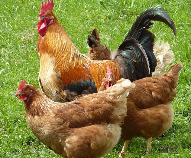 ����������������