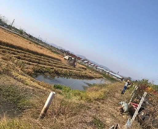 ˮ����ֲ�Ļ���Ҫ���֪ʶ