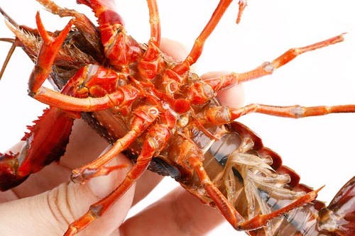 ��Щ�˲����˳�С��Ϻ