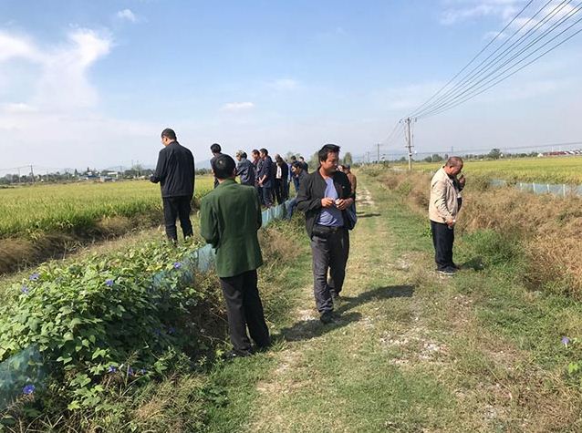 ˮ����ֲ���ʩ��