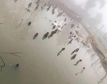 ��Ѽ��������ôѡ��