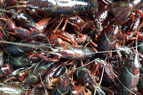 С��Ϻ�²���?�����ڵ�