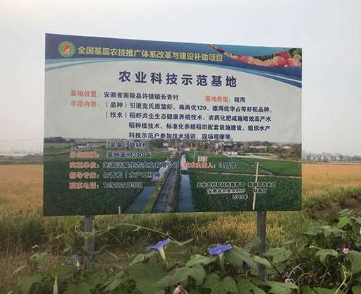 ˮ����ֲ�Ժַ�ʭ���Եĵ�������ѧ�о�