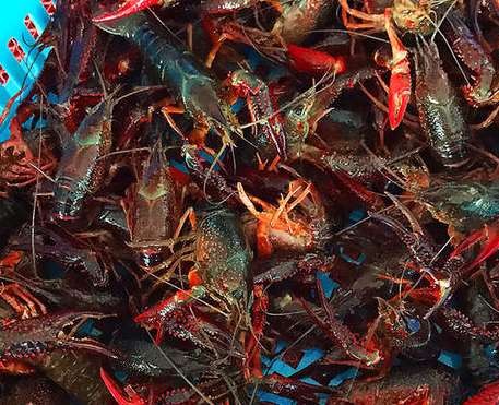 С��Ϻ�����ע������