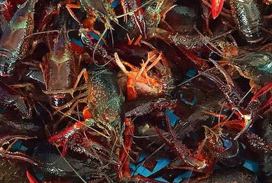 ��Ϻ��ֳ����Ӧע����Щ����?