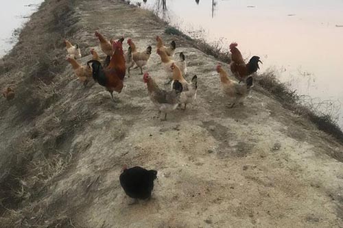 ũ������