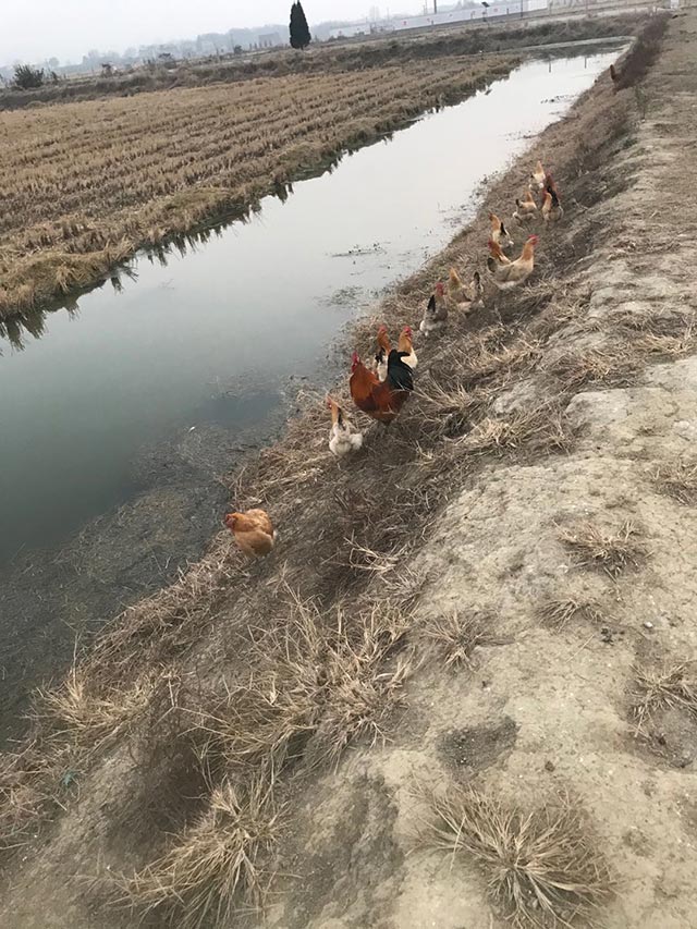 ũ������