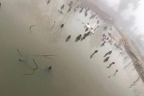 ��Ѽ����