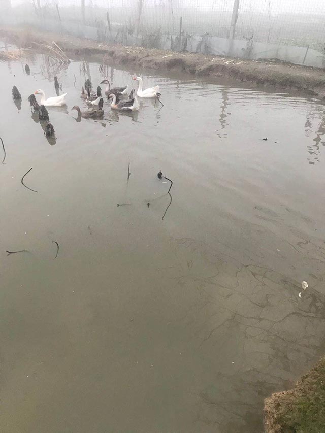 ��Ѽ����