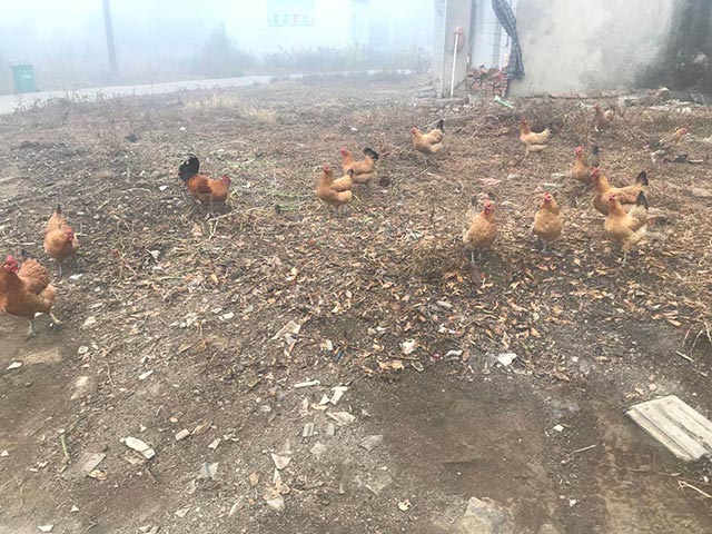 ũ������