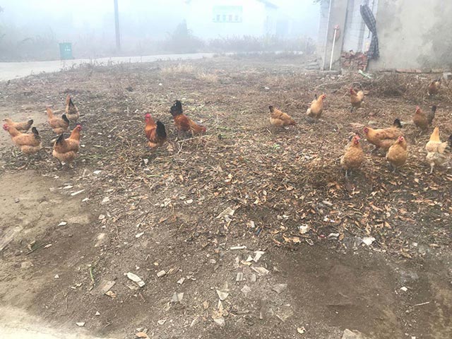 ũ������